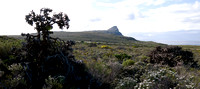 Cape Landscape