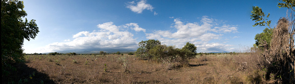 Mount Tambora: in the distance.