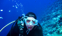 Divemaster Hamza with cleaning Wrasses