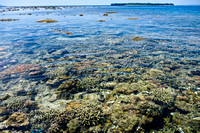 Reef Timur II at low tide