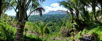 Tangkoko NP