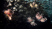 P1030657