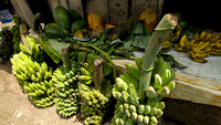 Tomohon Market