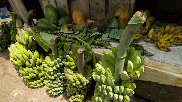 Tomohon Market
