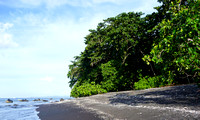 Tangkoko Black Beach