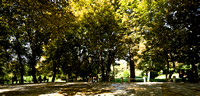 A Park in Shiraz