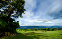View from terrace Hacienda Bambusa